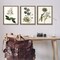 Stupell Industries Vintage Botanical Flowers on Beige Framed Floater Canvas Wall Art